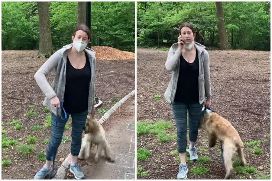 美國有一名白人女子日前在紐約中央公園遛狗被提醒應繫牽繩，竟報警謊稱有黑人威脅要對她不利。（翻攝自Christian Cooper臉書）