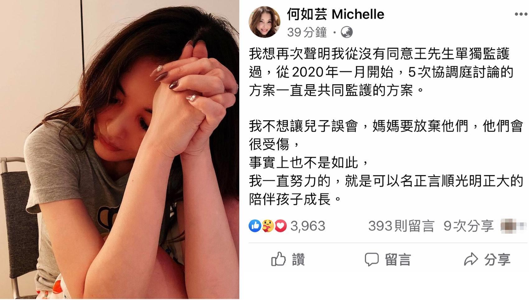 何如芸臉書發文再次強調爭取小孩的共同監護權。(翻攝自何如芸臉書)