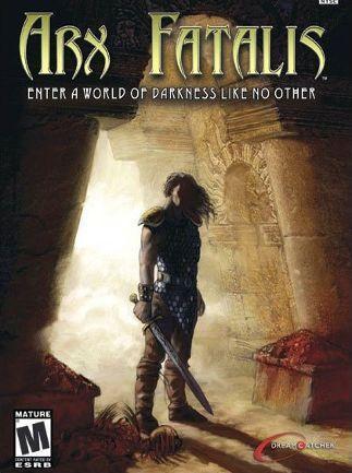 《地城英雄誌》是一款第一人稱動作角色扮演遊戲,最初在 Windows 平台發售,後移植到 Xbox 平台。
