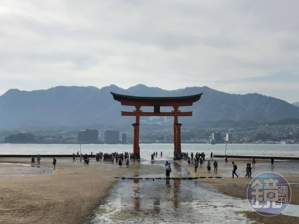 日本政府考慮放寬入境管制措施,傳名單有越南、澳洲、紐西蘭和泰國。(本刊資料照)