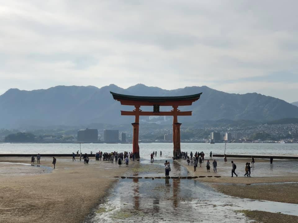 日本政府考慮放寬入境管制措施,傳名單有越南、澳洲、紐西蘭和泰國。(本刊資料照)