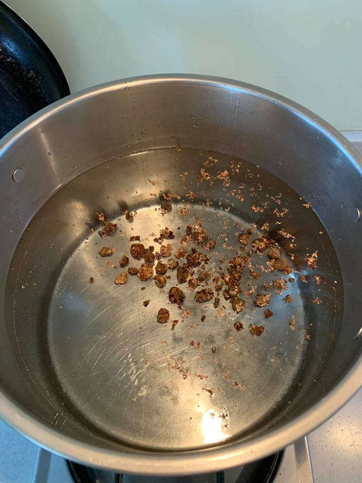 冷水加熱後,放入敲碎的肉荳蔻。