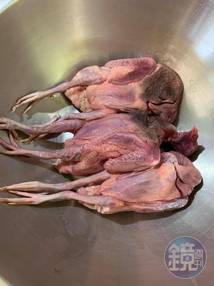 3隻鴿子解凍之後。