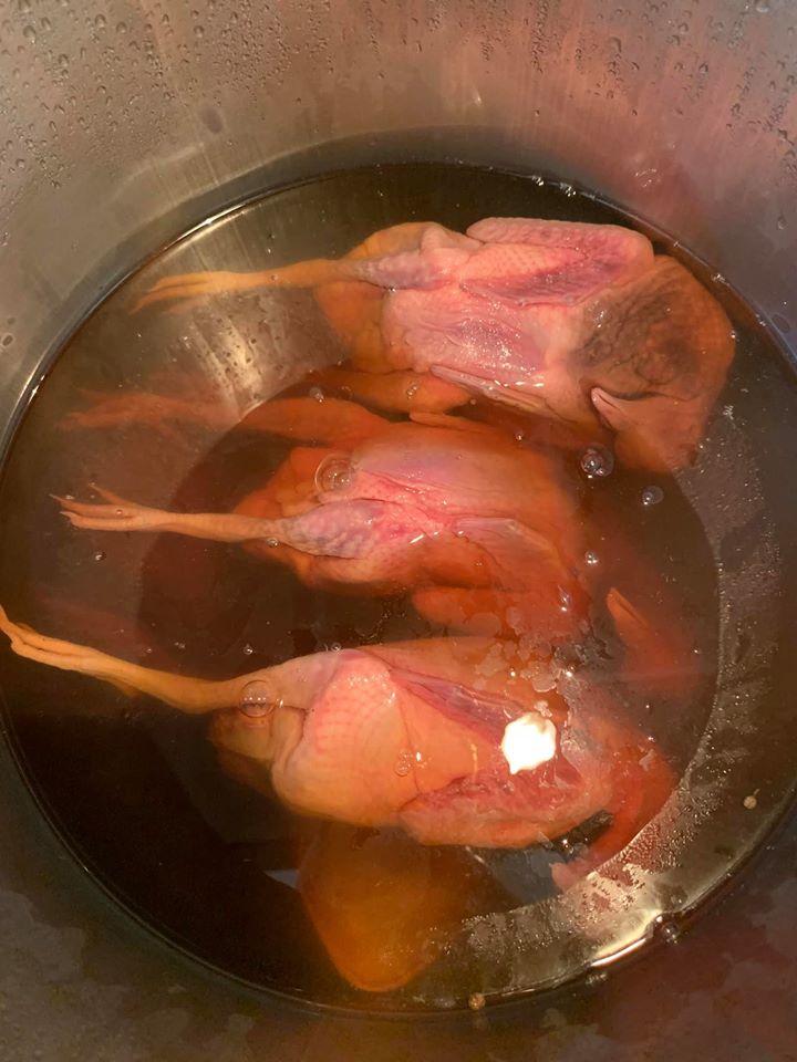 滷水放冷後，將鴿子浸入，這一步驟至為重要。