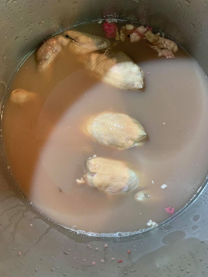 鴿子浸泡滷水8小時後的狀態。