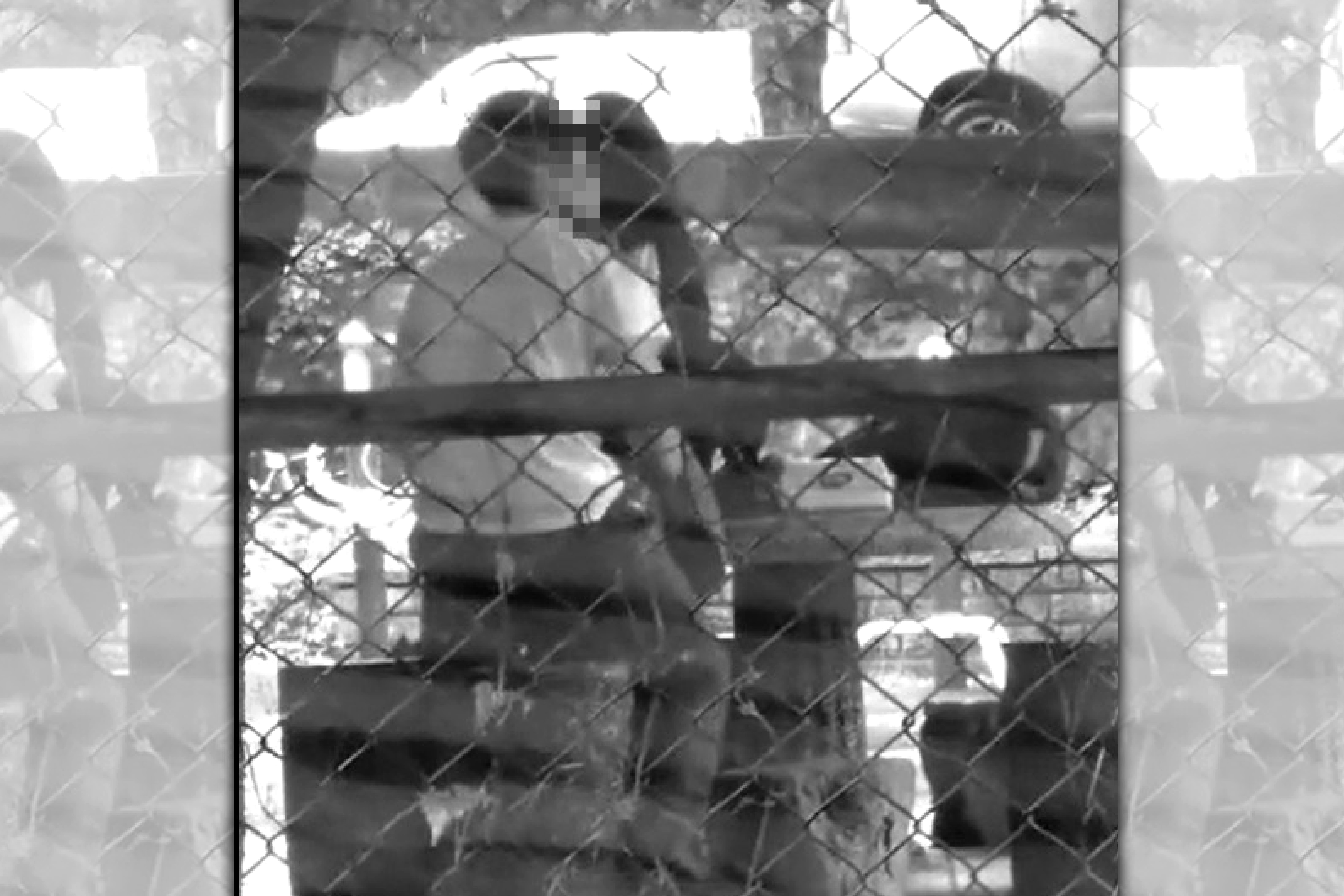 桃園市龜山區一處社區旁的涼亭，驚見一對學生情侶發生性行為。（翻攝自網路）