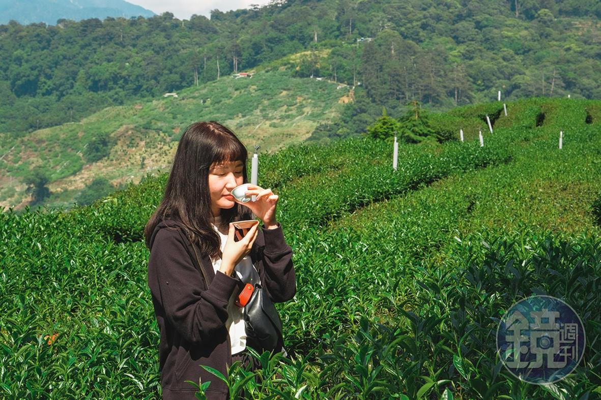 新佳陽的高山烏龍茶，已有世界級的水準，在茶園中品茗更讓人五感全開。