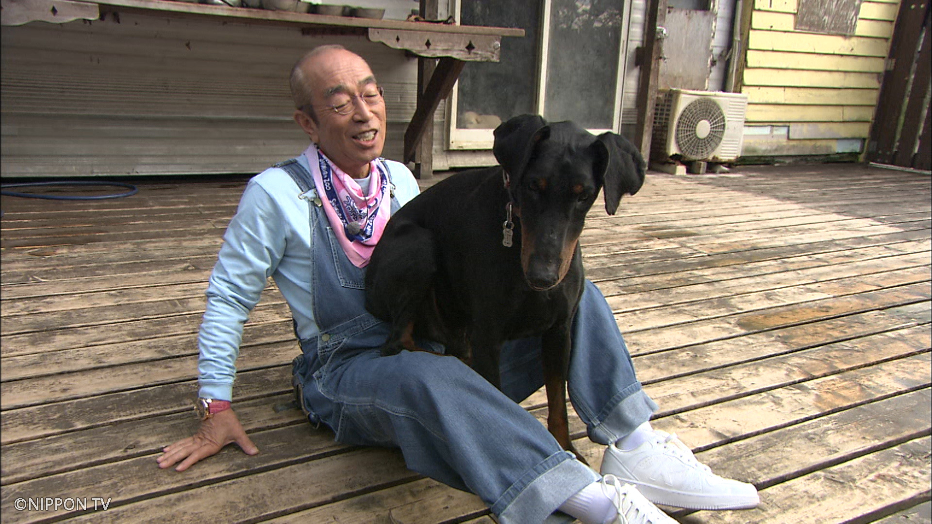 日本喜劇天王志村健非常喜歡動物，卻不幸因新冠肺炎在3月底辭世。（國興衛視提供）