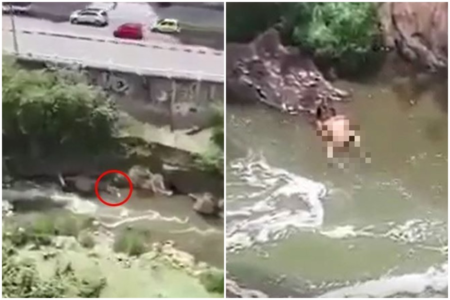 驚傳有情侶在溪邊活春宮，引起大票網友關注。（翻攝自爆廢公社）