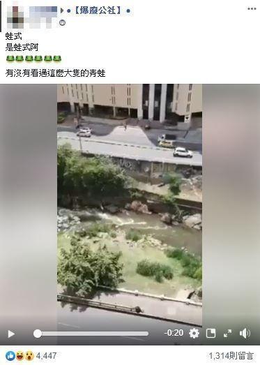 一名網友在臉書社團PO出春光畫面。（翻攝自爆廢公社）