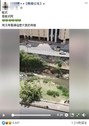 一名網友在臉書社團PO出春光畫面。(翻攝自爆廢公社)