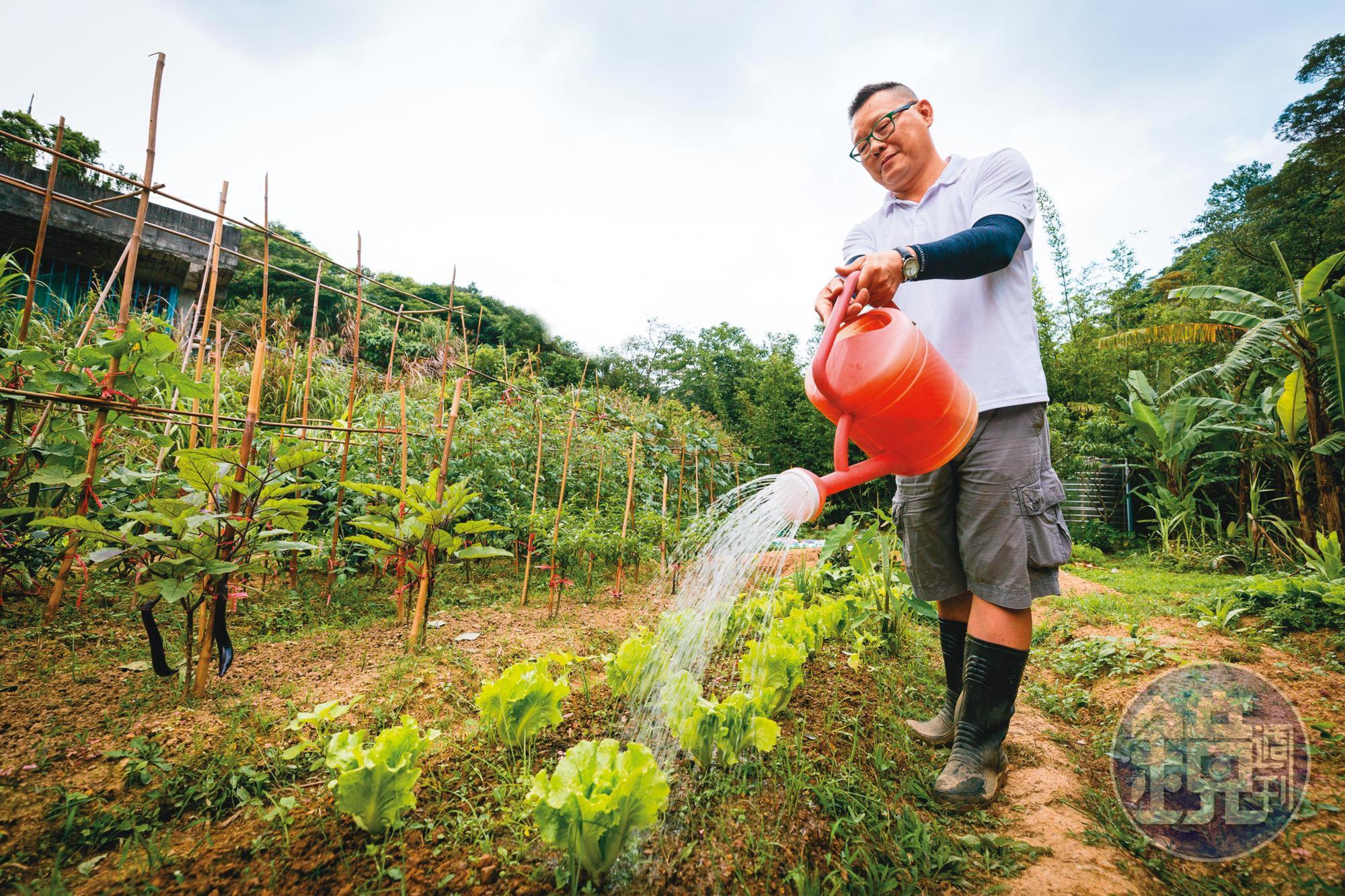 股市收盤後,盛鵬會帶著工具上山,化身菜農為菜苗澆水、拔雜草,藉此培養操盤耐心。