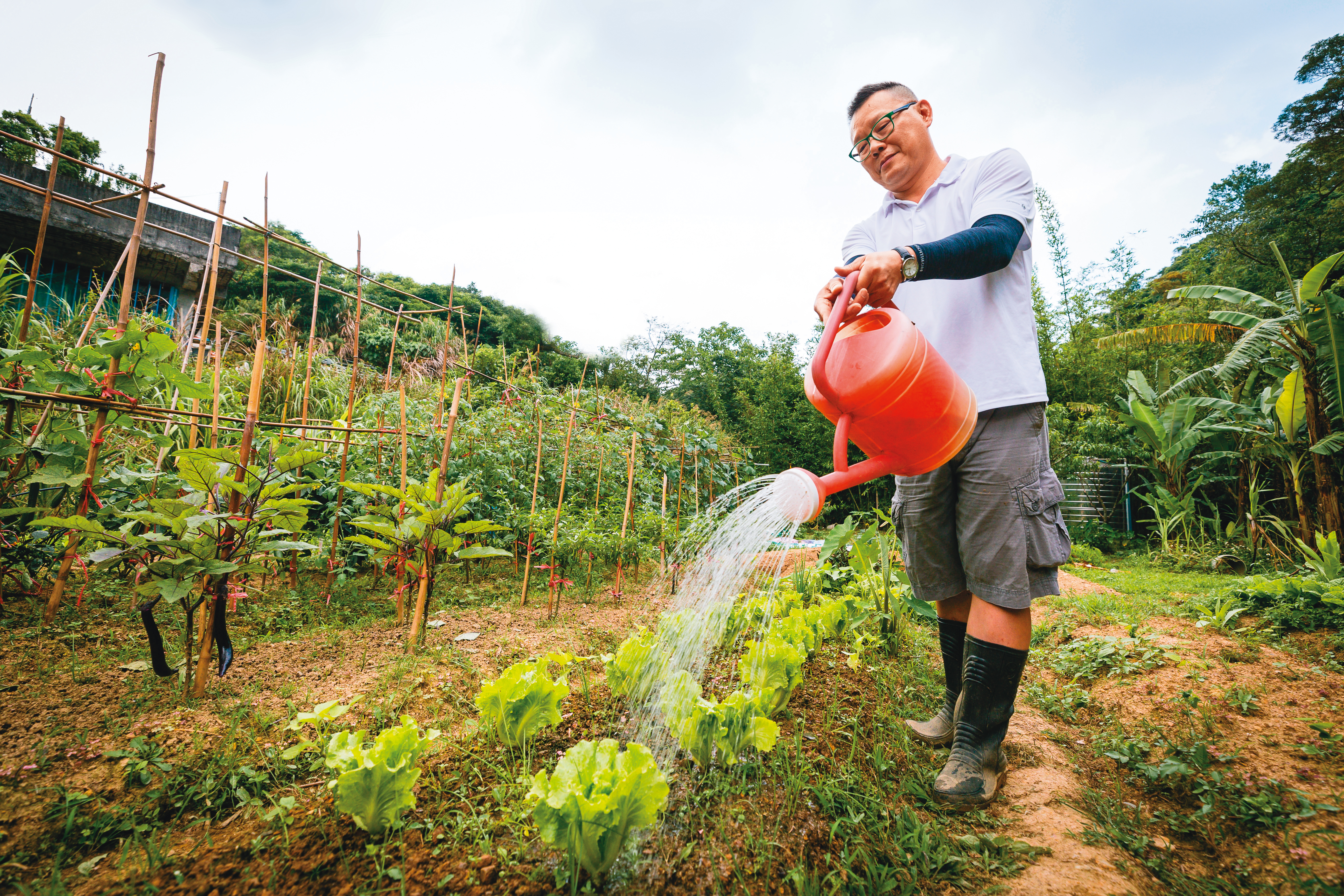 股市收盤後，盛鵬會帶著工具上山，化身菜農為菜苗澆水、拔雜草，藉此培養操盤耐心。