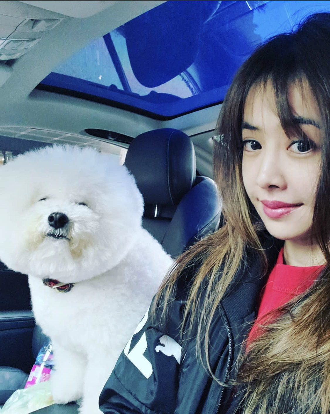 Jolin對寶貝比熊犬「屋虎」疼愛有加，常帶著牠一起上工。（翻攝自蔡依林IG）