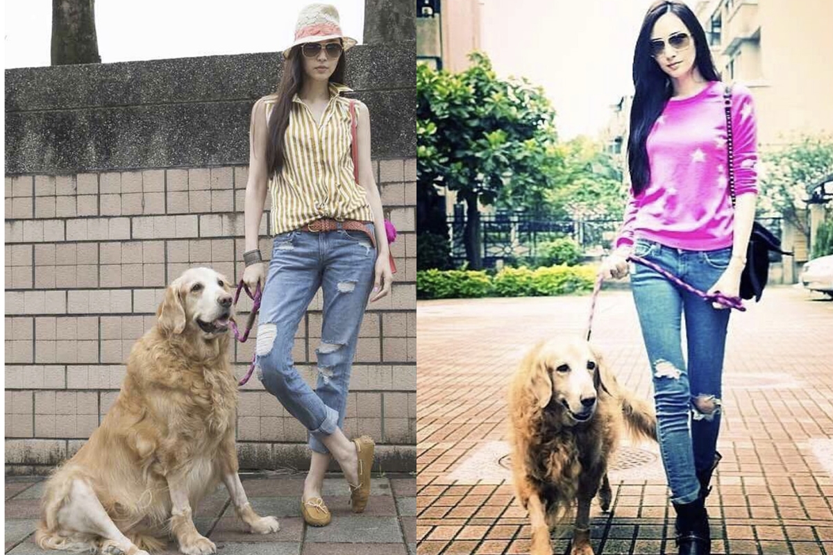吳佩慈是個愛狗之人，多年前曾養過一隻黃金獵犬Hans，也曾給熊爸上課。