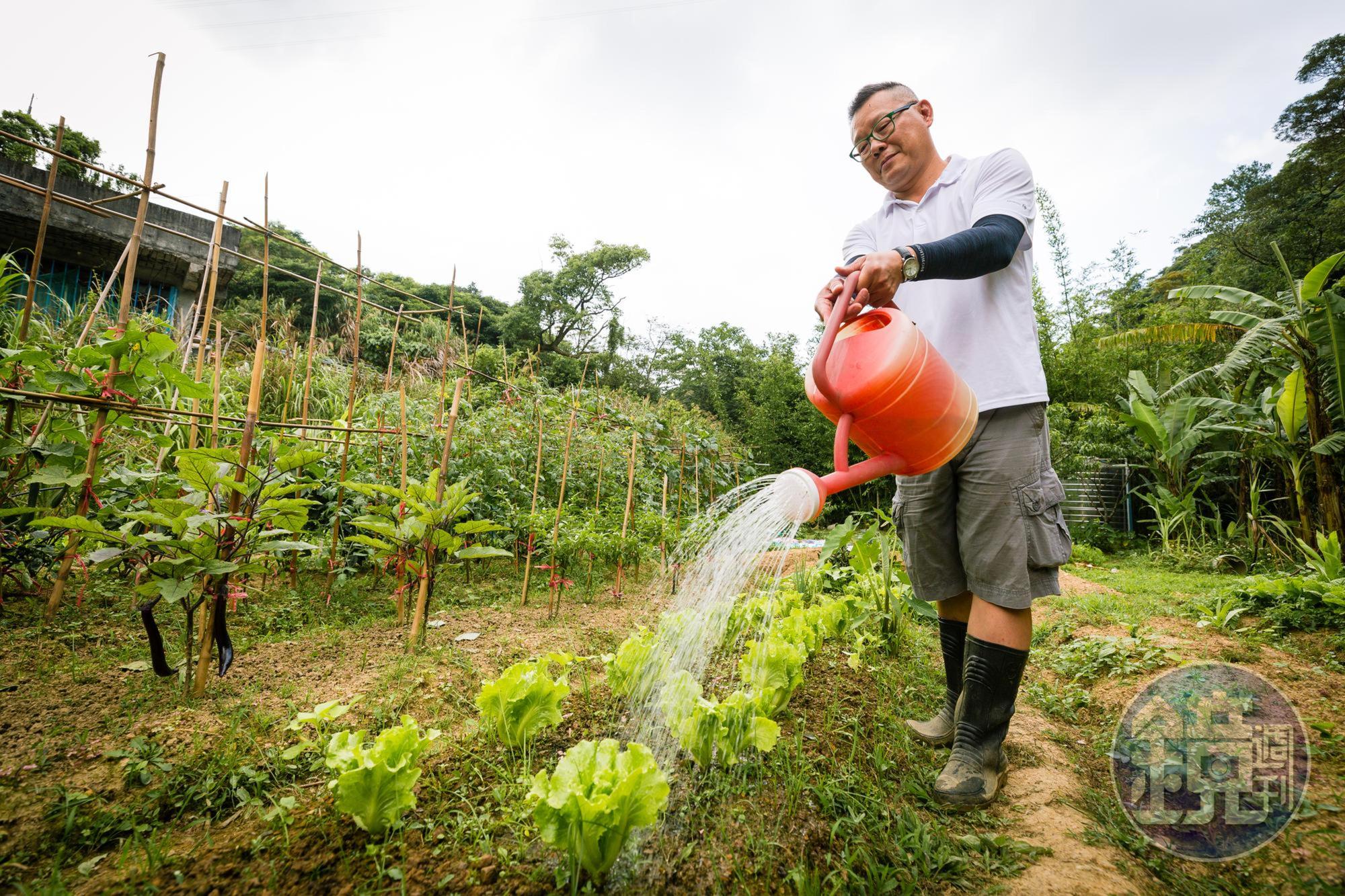 股市收盤後，盛鵬就會帶著工具上山，化身菜農為菜苗澆水、拔雜草，培養操盤耐心。