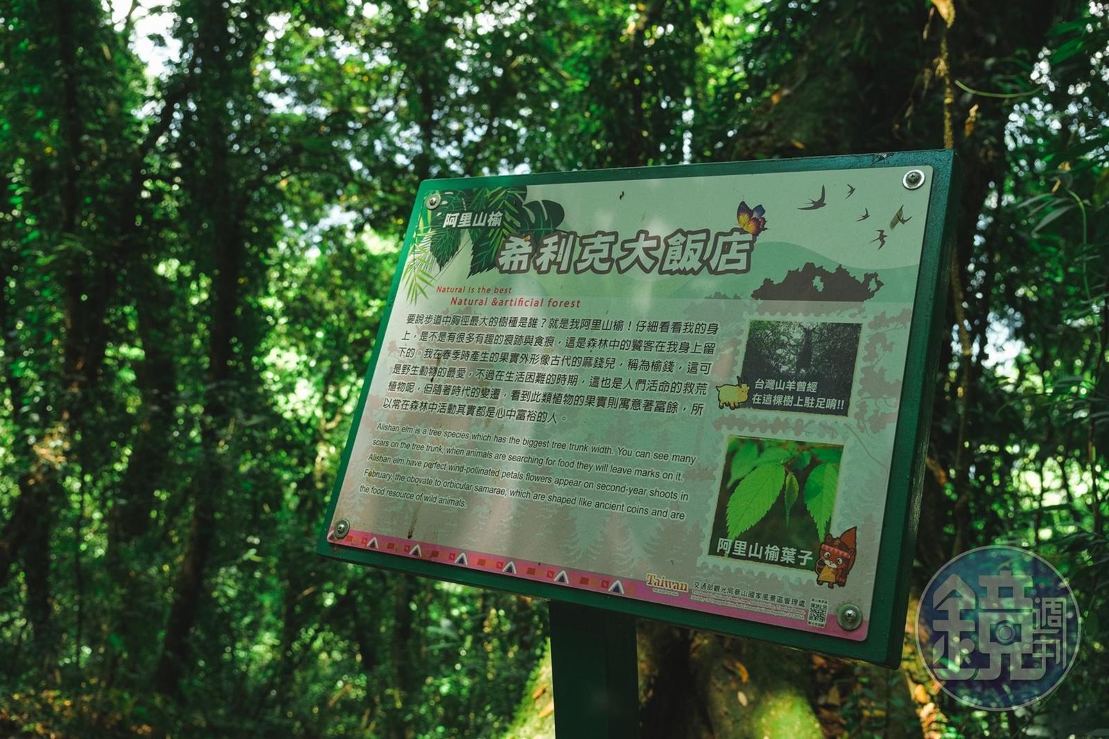 解說牌上的故事,小趣味十足。