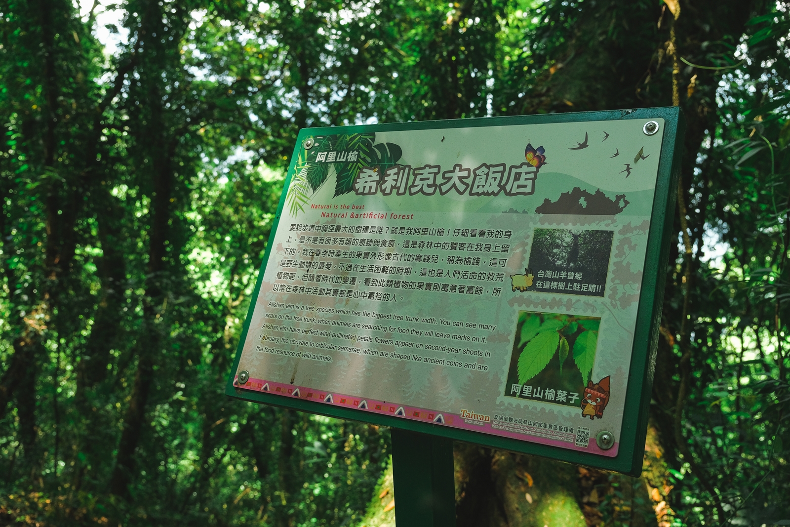 解說牌上的故事，小趣味十足。