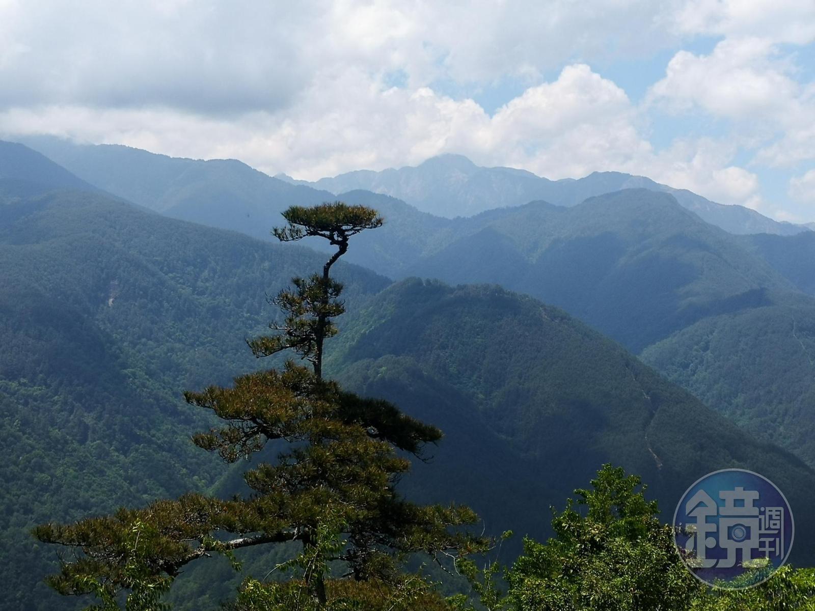 覽勝亭上一支獨秀的松樹與雪山,是當日我遇見最美麗的風景。