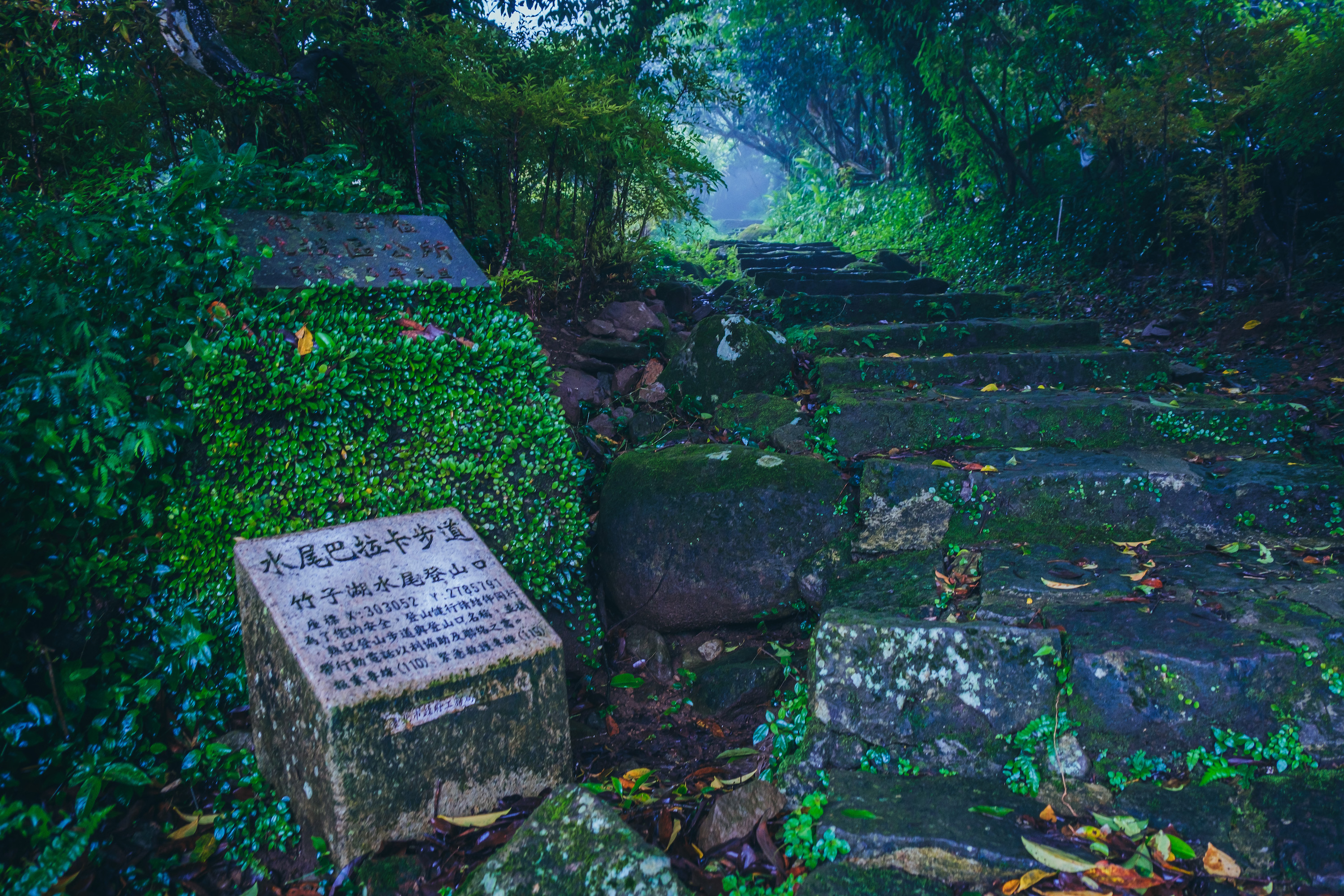 步道口的石碑簡介了一些登山注意事項，路途不長，大概20分鐘可走完。