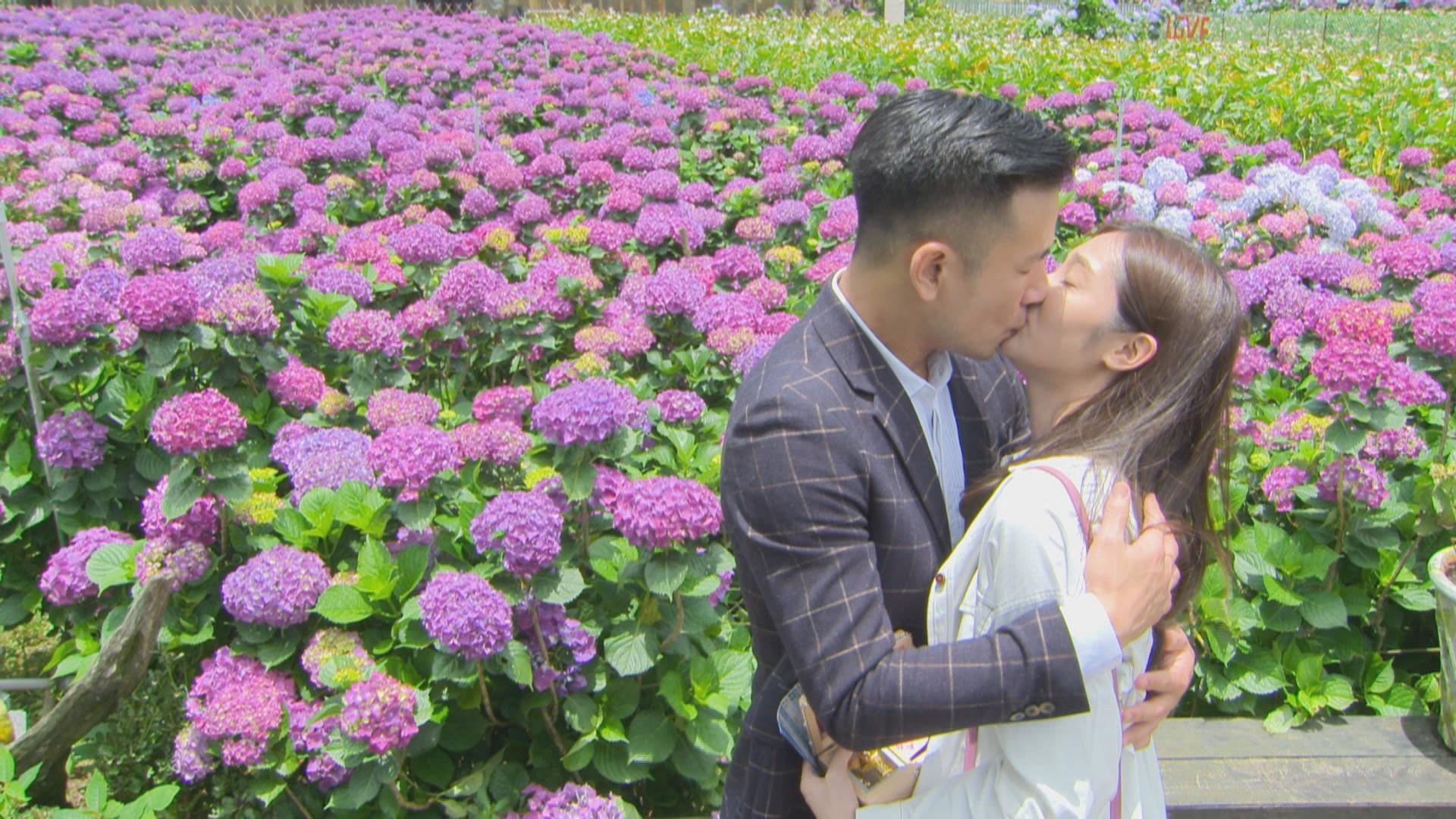 傅子純跟邱子芯到繡球花園上演求婚戲碼,讓女主角邱子芯想婚了。(民視提供)