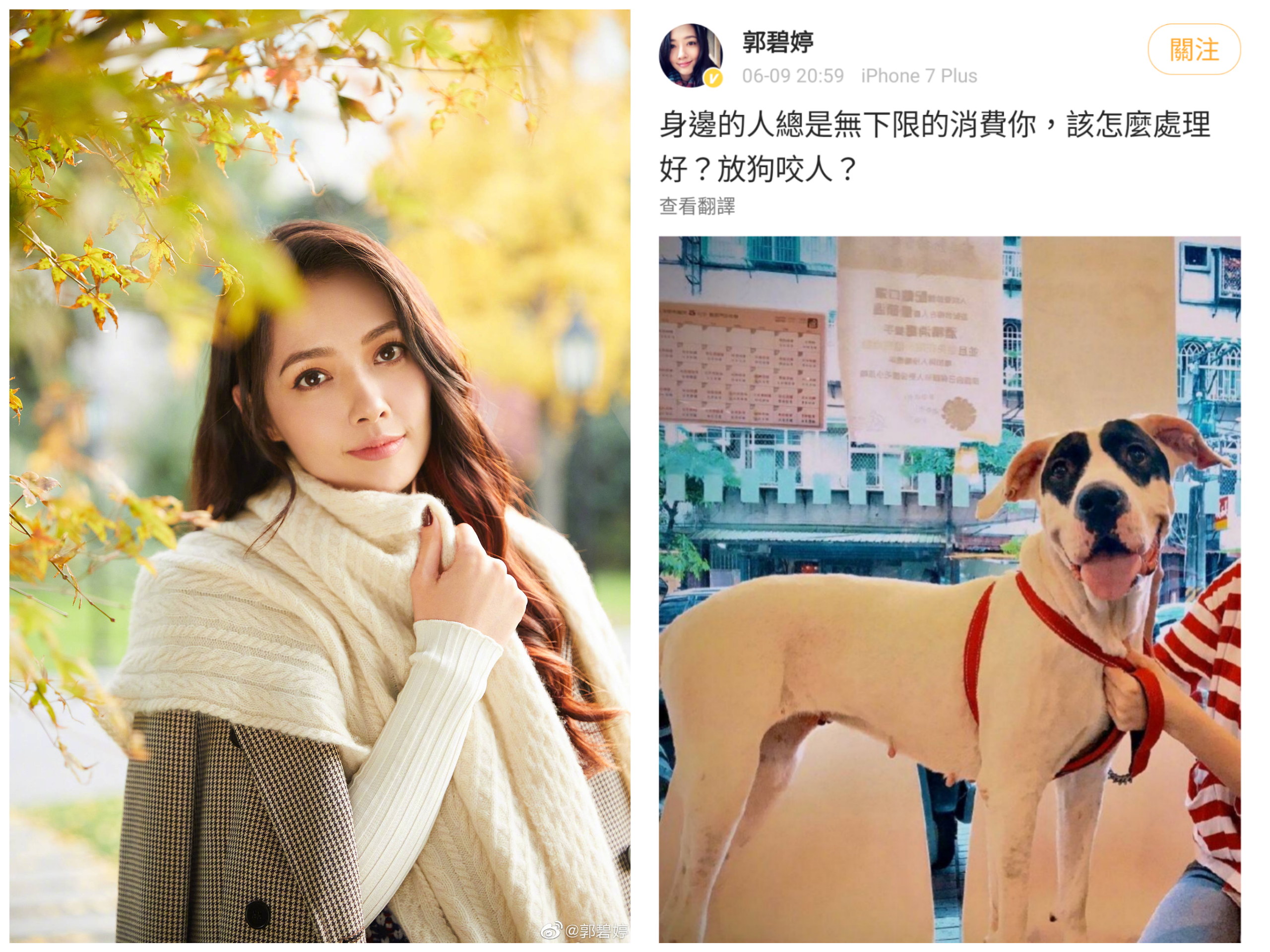 郭碧婷在微博發文怒指被身邊人消費，氣到想放狗咬人。（翻攝自郭碧婷微博）