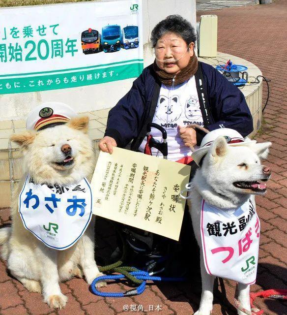 Wasao後來還和老婆一起成為觀光站長，當時牠的飼主已經生病。（網路圖片）
