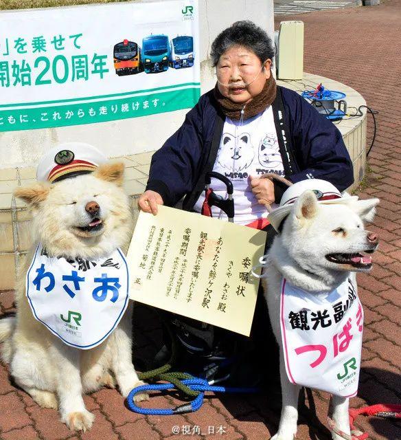 Wasao後來還和老婆一起成為觀光站長，當時牠的飼主已經生病。（網路圖片）
