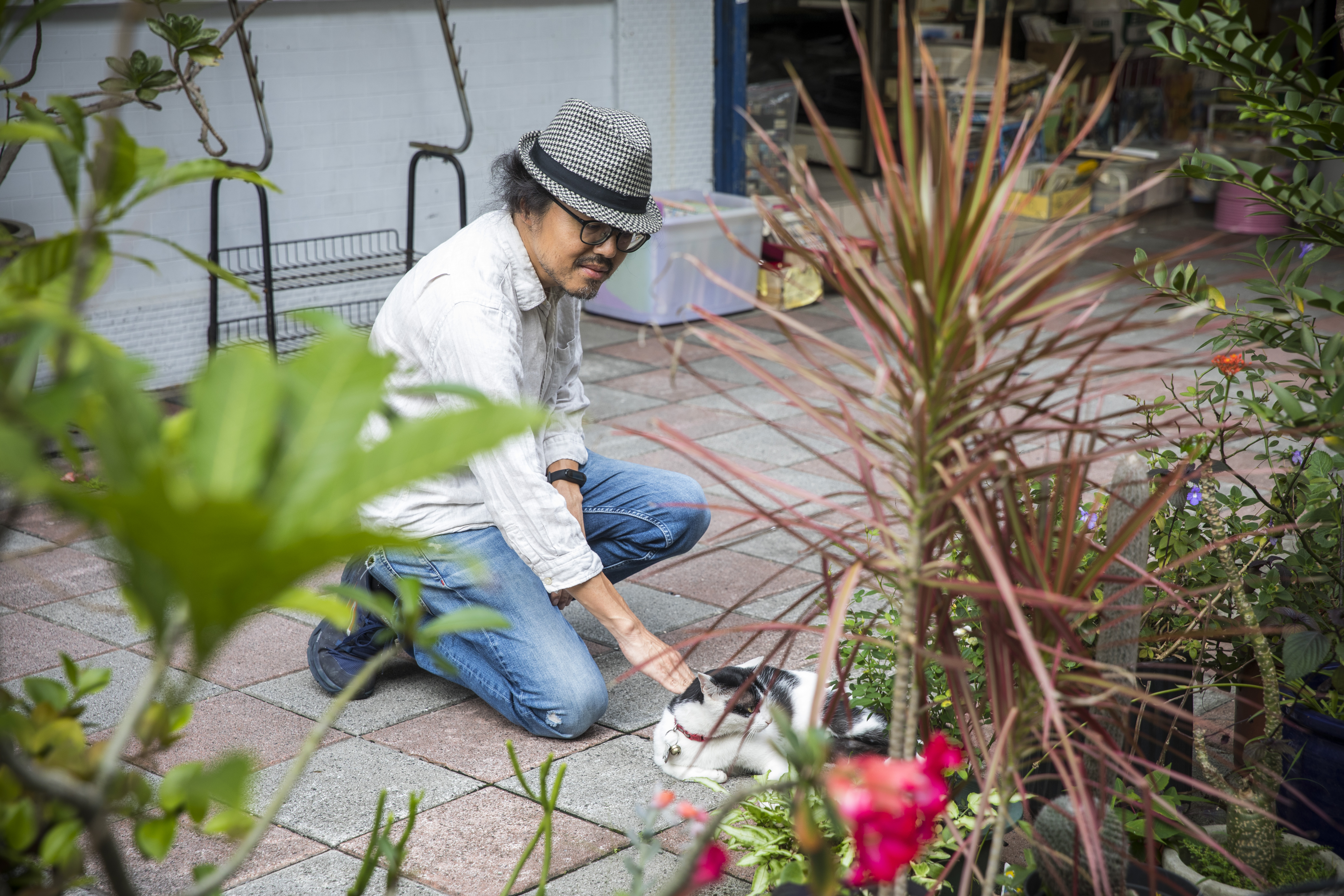 周易正愛貓，也養貓。他曾因為愛貓過世而哭泣，前妻受訪者表示，動手術前，他確實常想過已逝的貓。圖為他帶我們走逛出版社附近街道時，偶遇的淡定小貓。
