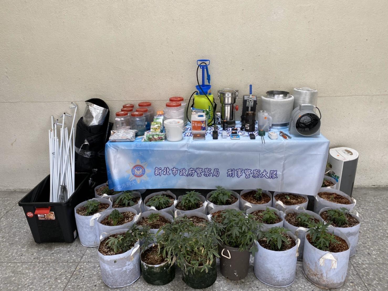 警方在游嫌住處起出大批大麻種子、活株、乾燥成品及栽種設備。（翻攝畫面）