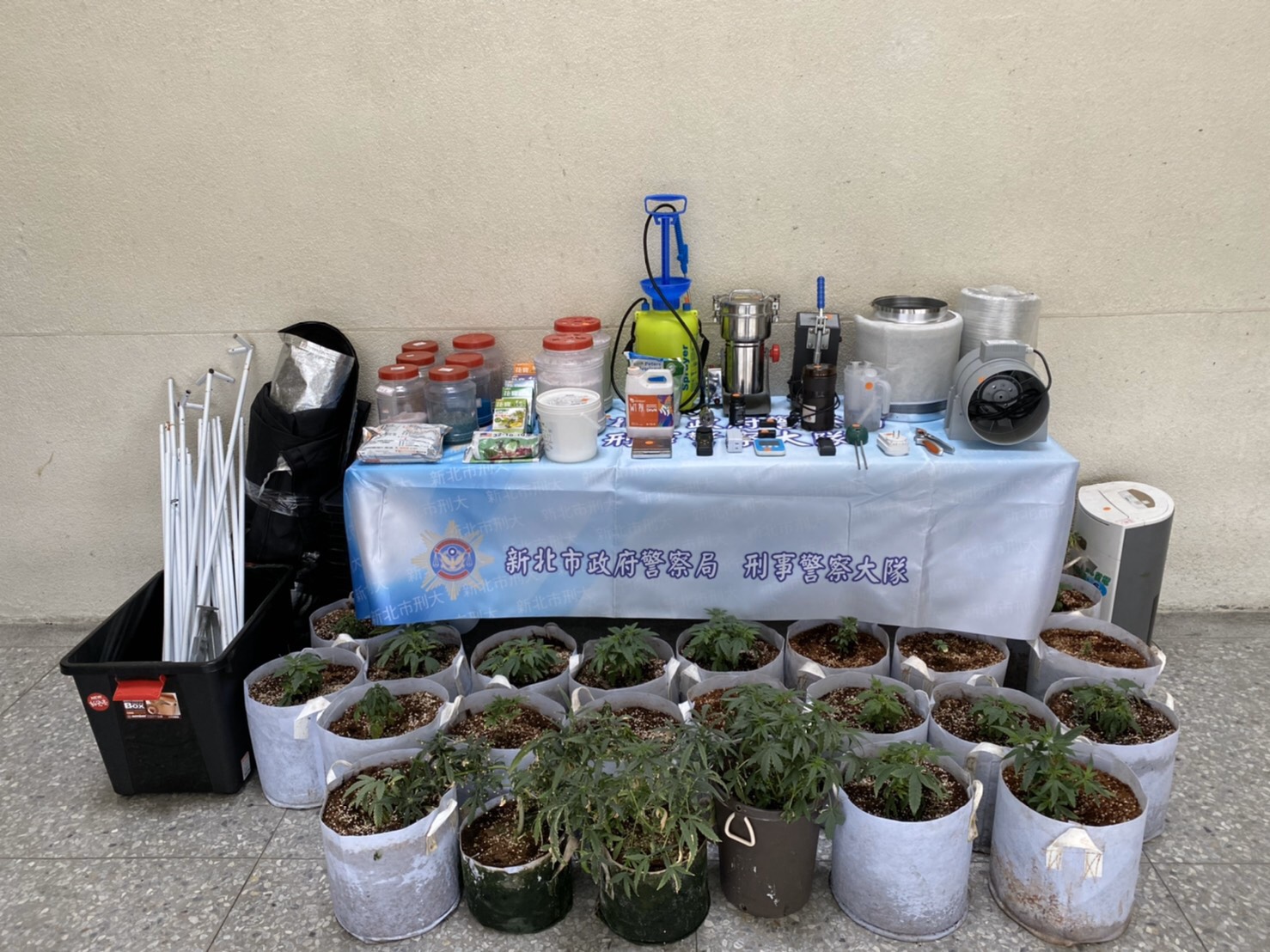 警方在游嫌住處起出大批大麻種子、活株、乾燥成品及栽種設備。(翻攝畫面)