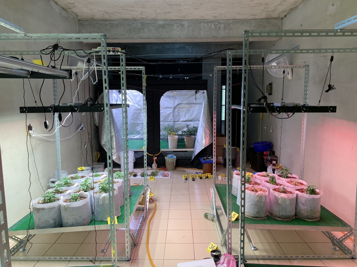 游嫌將租屋處改裝成大麻培育場。(翻攝畫面)