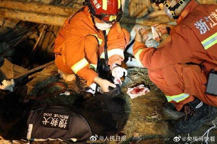 支援現場的搜救犬在執行任務的過程中受傷了,消防員為牠處理傷口。(翻攝自人民日報微博)