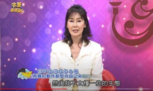 許久未露臉的夏光莉，近日上節目大談當年暫別演藝圈原因。（翻攝自YouTube）