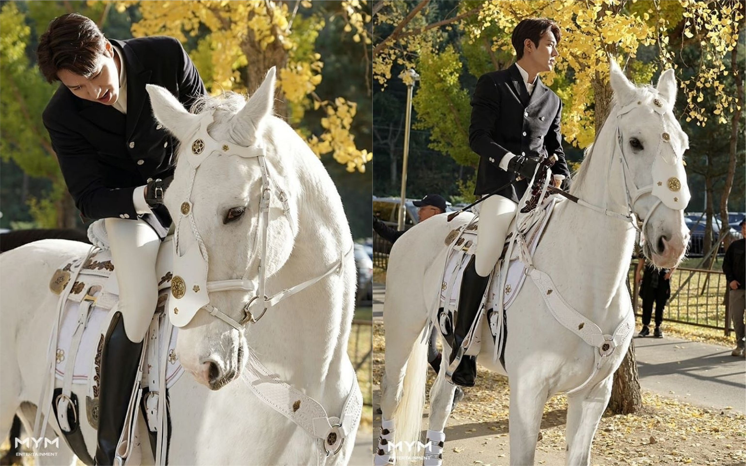 李敏鎬在《The King：永遠的君主》開拍前就和白馬「麥希慕斯」培養了感情，讓拍攝更加順利。（翻攝MYM Entertainment）