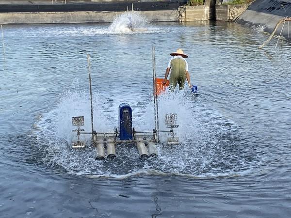 宜蘭縣政府證實2養殖場確診「十足目虹彩病毒」,縣府啟動防疫措施。(宜蘭縣府提供)
