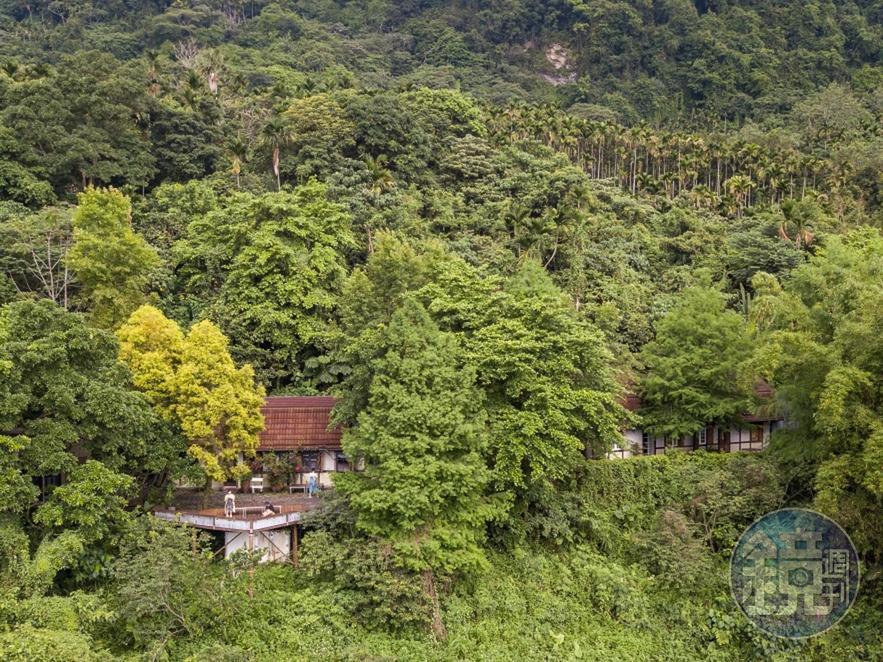 漫山的綠擁抱住歐式風格的建築，空拍起來很美。