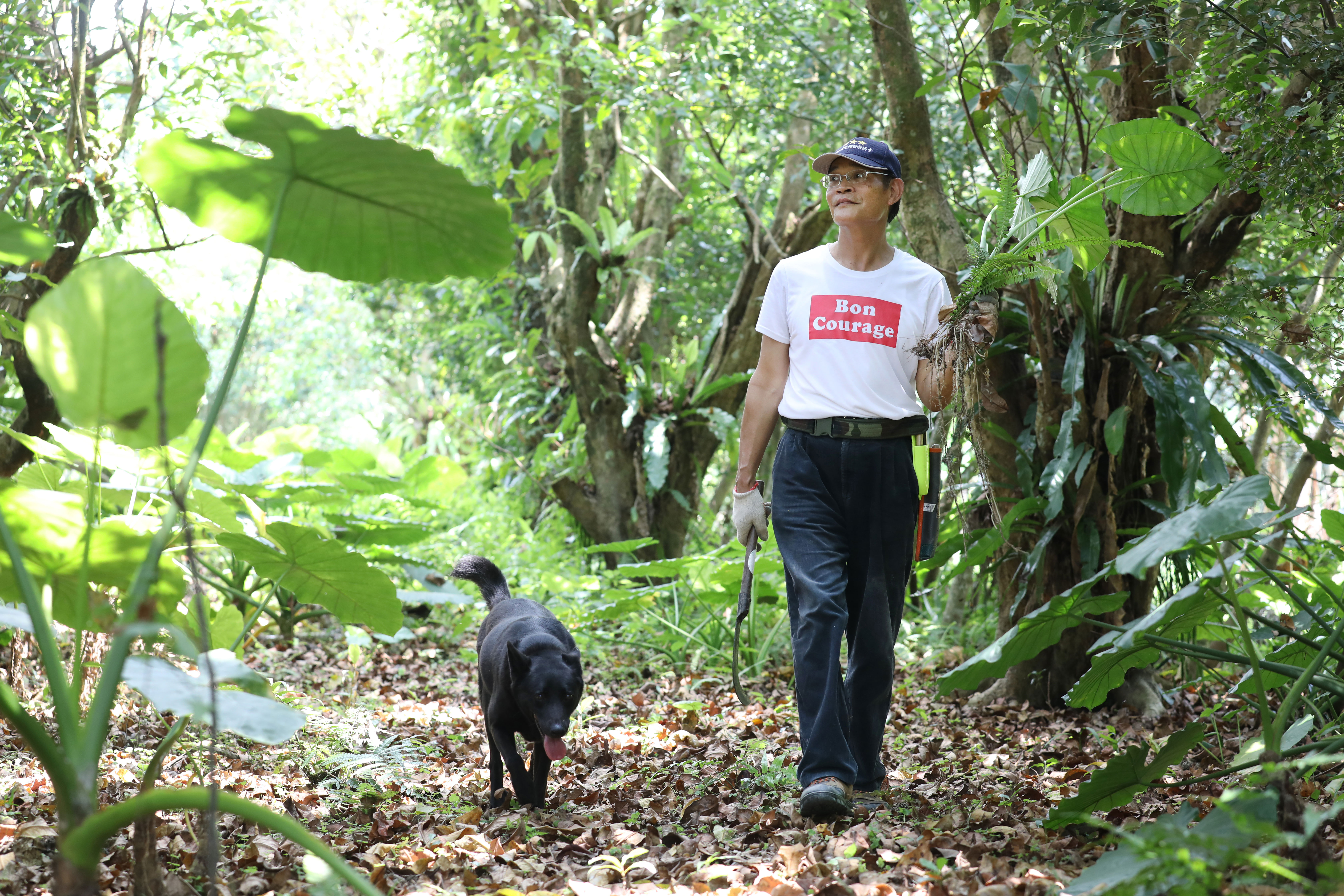 陳清枝熱衷辦學，除早年創設「宜蘭森林小學」及「宜蘭人文國中小」，最近又開辦「野菜學校」。圖為他與愛犬麻糬在野菜學校的探索區採集野菜。