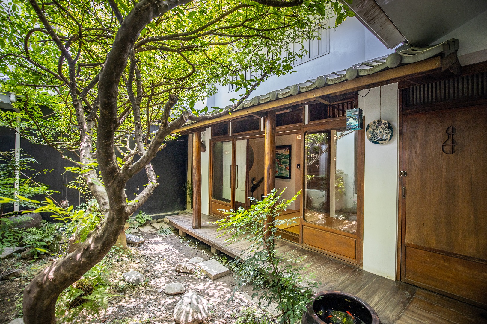 「三平咖啡」中庭的水梅老樹，為咖啡館增添清涼綠意。