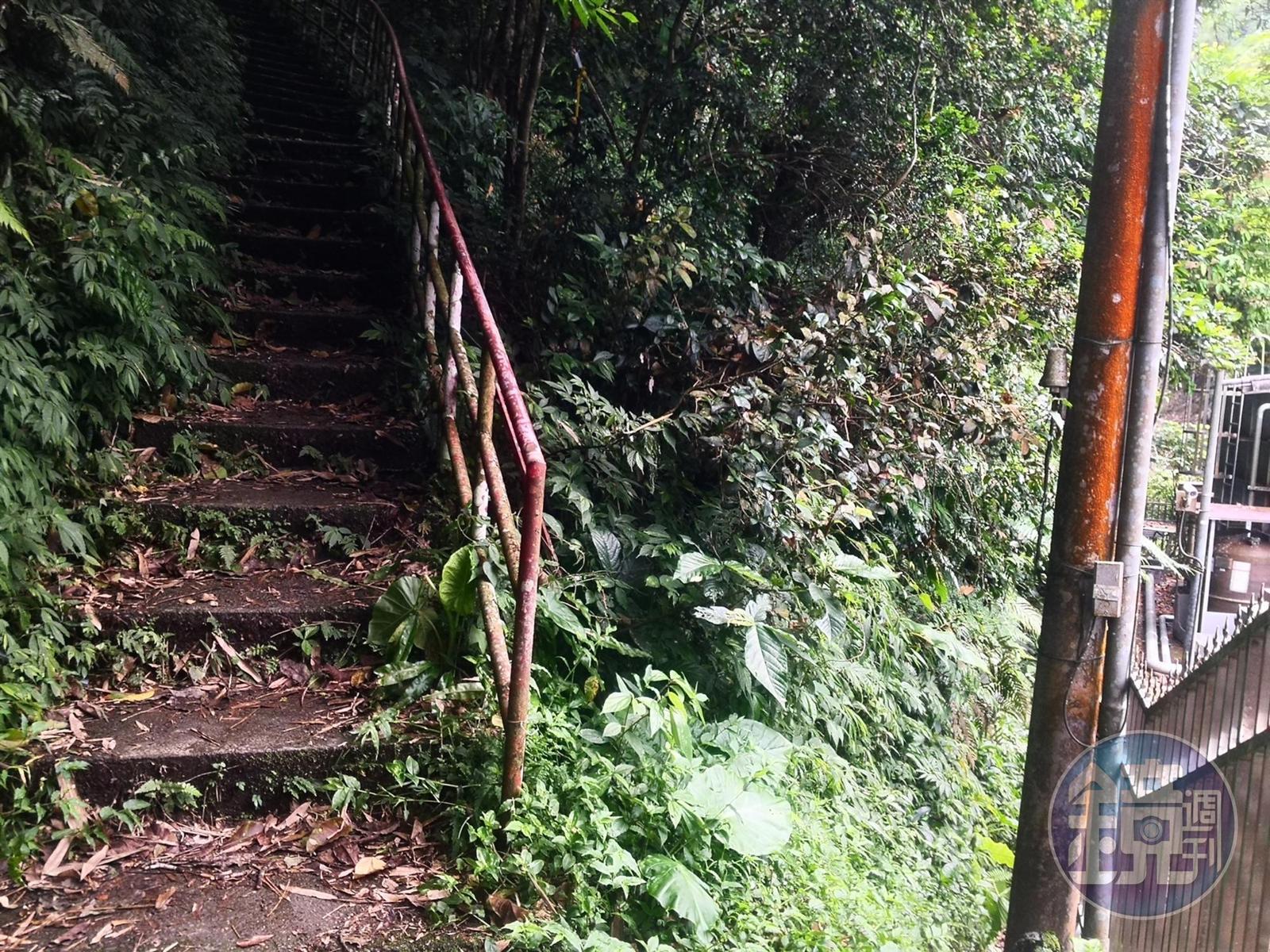 左邊階梯為加九寮越嶺步道，右邊則是直接下切溪谷。