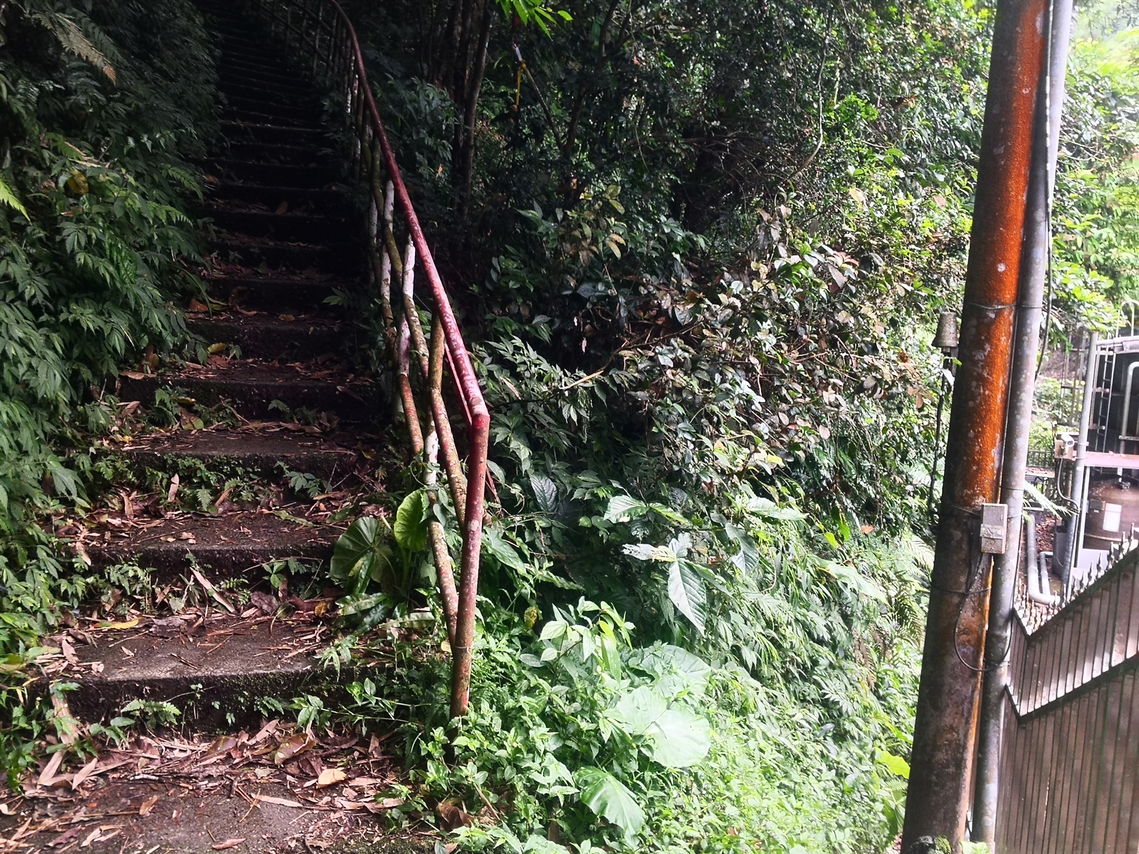 左邊階梯為加九寮越嶺步道，右邊則是直接下切溪谷。