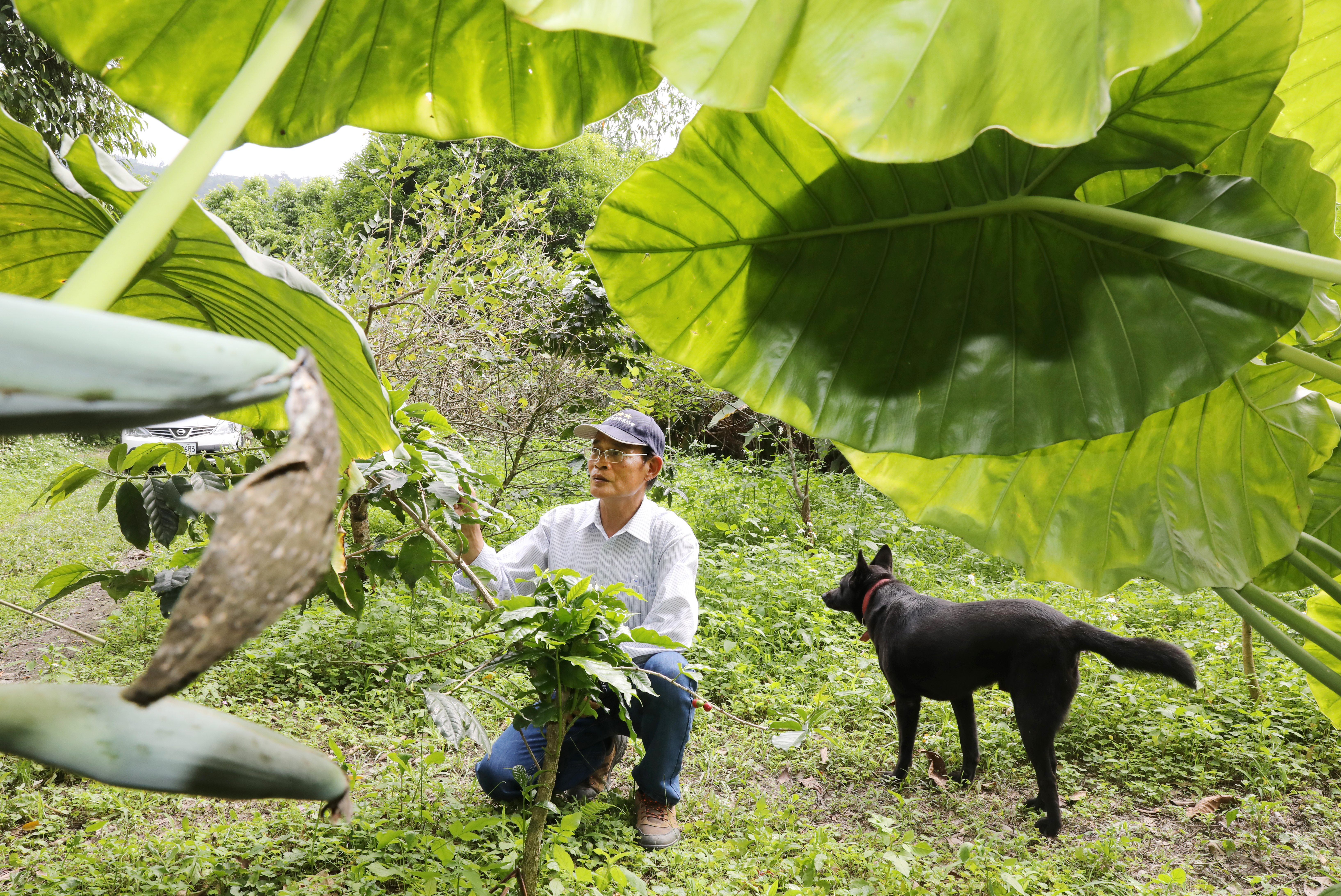 陳清枝的愛犬麻糬曾是一隻流浪狗，即使麻糬的腳已經退化、行動不便，也總是對陳清枝跟前跟後。