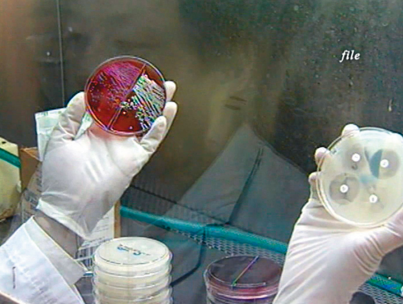 警方比對靳竹生的DNA，查出他還犯下台北新光三越停車場婦人遭搶案。（東森新聞提供）
