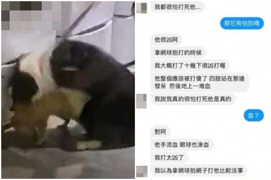 台北知名網紅咖啡店以可愛「浣熊」吸引客源，卻被網友爆料有虐待動物之嫌。（翻攝自臉書）