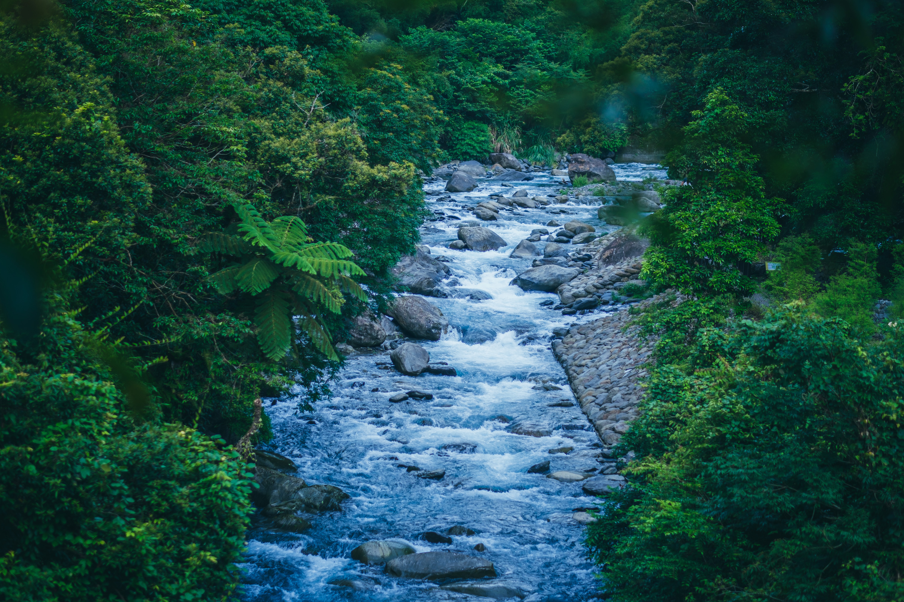 步道上的觀景台可遙望溪水悠悠流動。