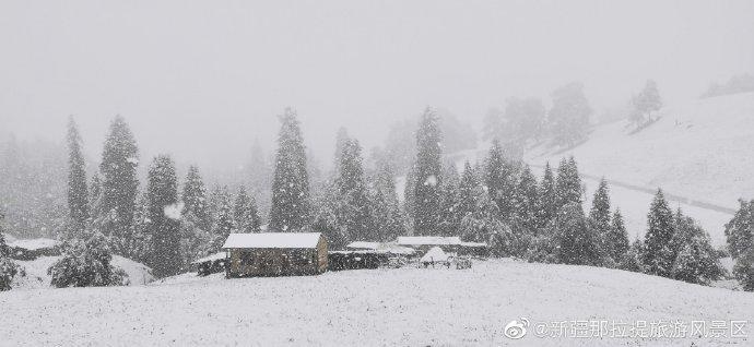 新疆大雪紛飛的景象,讓網友直呼有冤情。(翻攝新疆那拉提旅遊風景區微博)