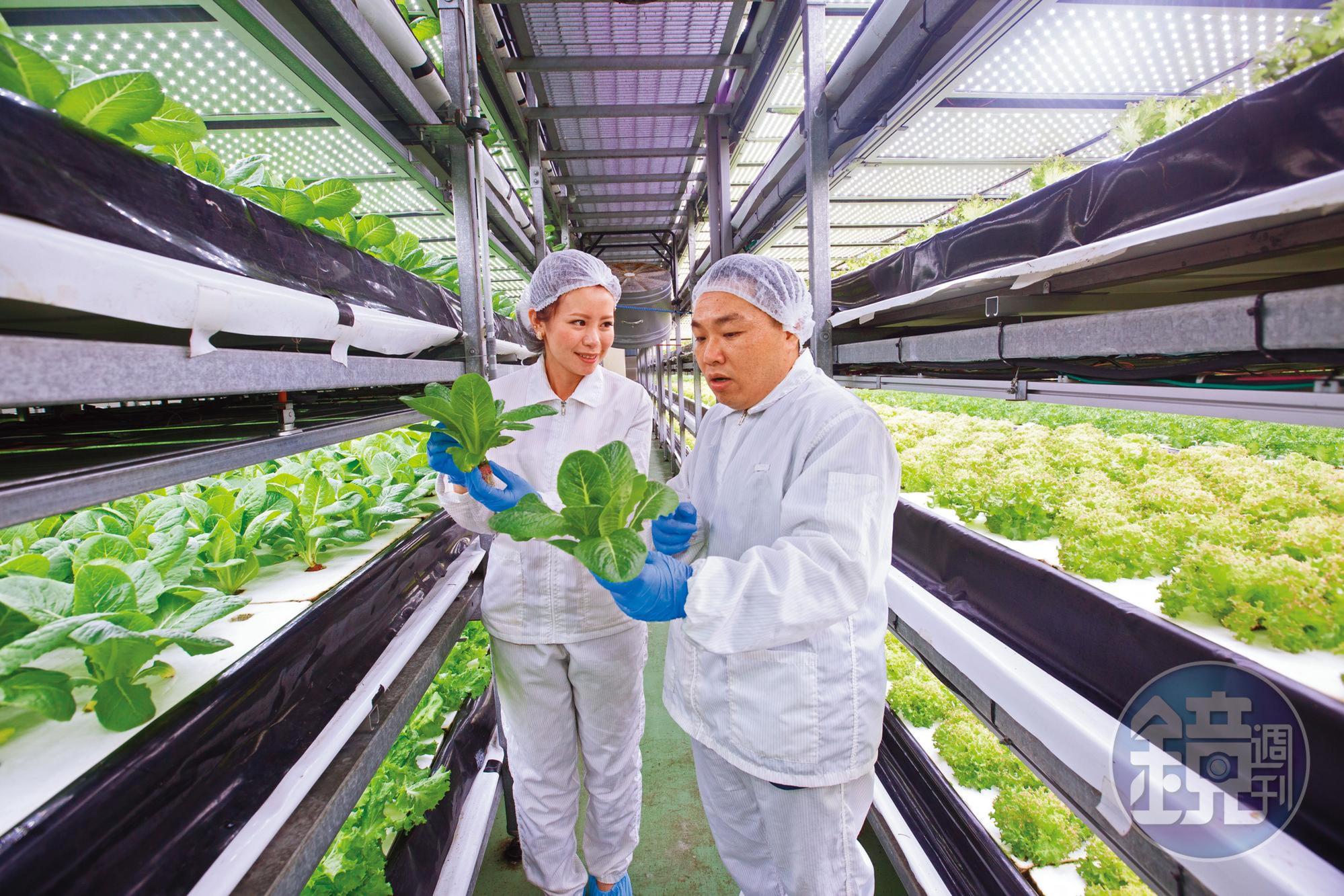 吳榮和（右）開發商品前必定會親自到工廠巡廠，這天他到生菜供應商源鮮檢視生菜狀況。