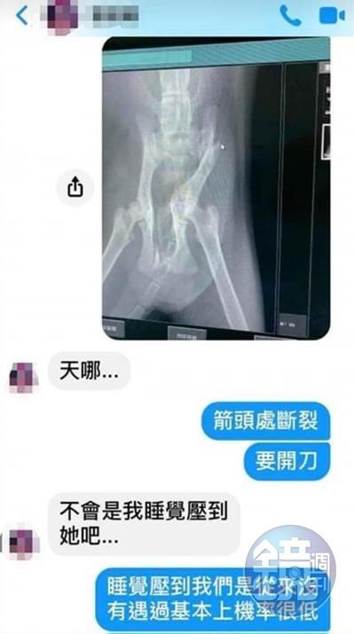 L小姐發現當初送養的幼貓異常虛弱，帶至寵物醫院就醫，發現該幼貓傷勢相當嚴重。（讀者提供）