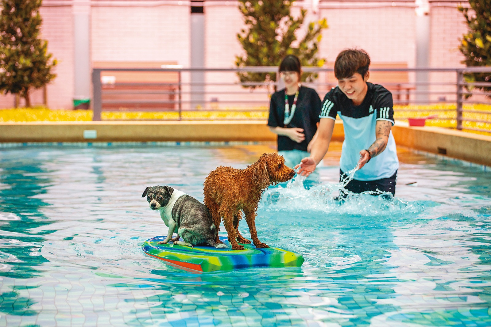 怕水的小型犬也不用擔心，可坐在浮板上喔。