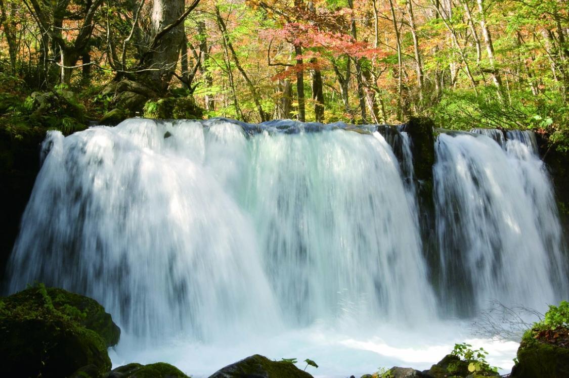 日本青森縣十和田市政府為吸引遊客前往境內八幡平國家公園,自上個月(5月)起便積極推動workation環境的建設,也在本月應徵了環境省的補助方案。(翻攝自青森縣觀光資訊網站)
